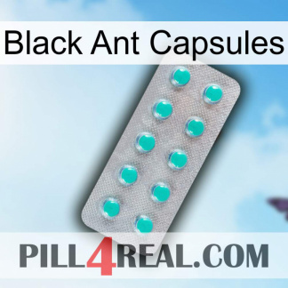 Black Ant Capsules 28